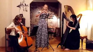 Claude Gervaise "Almande IV" (арфа/harp, виолончель/cello, флейта/flute)