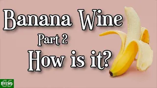 Banana Wine, Part Two:  How is it so Far?
