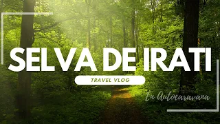 🚐 Selva de IRATI | NAVARRA en AUTOCARAVANA  OTOÑO 🍂 : SELVA de IRATI