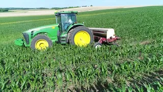 Interseeding cover crops into twin 60" wide corn