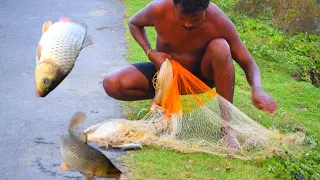 Most Satisfying Cast Net Fishing Video Catch Tons of Fish - Traditional Net Catch Fishing on Pond