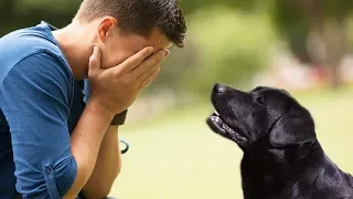When he found out who the dog’s previous owner was, he could not return the dog to the shelter
