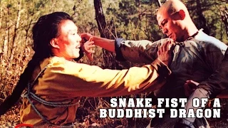 Wu Tang Collection - Snake Fist of a Buddhist Dragon