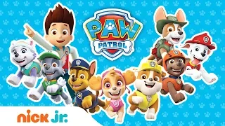 How Many PAW Patrol Friends Can You Name in Ft. Chase, Chickaletta, & More! | PAW Patrol | Nick Jr.