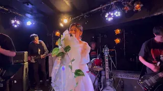 plant cell - Summer on Route 134  (2024.4.28 at 下北沢DaisyBar)