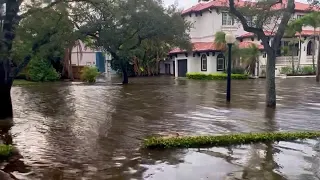 Storm Surge Floods Tampa Streets as Hurricane Idalia Makes Landfall -- Storyful