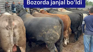 Namangan viloyati Uychi tumani Yorqo’rg’on optom chorva bozori Semiz buqalari.