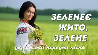 🇺🇦 ЗЕЛЕНЕЄ ЖИТО, ЖИТО - Ukrainian folk song - Награш band