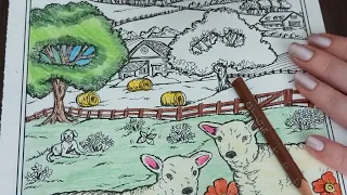 ASMR Country Farm Scenes Coloring Book 23