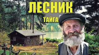 СУДЬБА ЛЕСНИКА ИСТОРИЯ из ЖИЗНИ ОТШЕЛЬНИК ДОМ в ЛЕСУ ЖИЗНЬ в ТАЙГЕ РАССКАЗЫ ИСТОРИИ НА НОЧЬ АУДИО