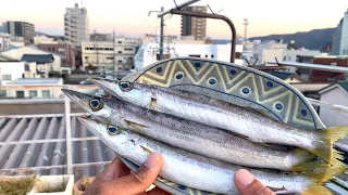 Prepare and Grill Rare Japanese Fish On Rooftop In Japan! 【Fishing in Japan】