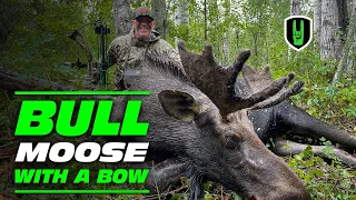 Bull Moose Bow hunt Spot N Stalk