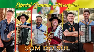 Baile do Som do Sul no CTG 20 de Setembro em Curitiba - PR