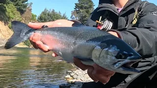 Pesca de truchas Arcoíris, Fario y Salmón en el río 🔥|  Streamers y ninfas 🤯