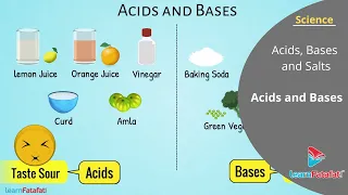 Acids Bases and Salts Class 7 Science Chapter 5 - Acids and Bases