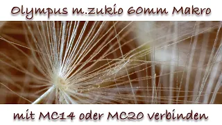 Olympus m.zuiko 60mm Makro mit dem Telekonverter MC-14 oder MC-20 kombinieren