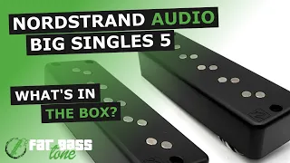 Nordstrand Big Single 5 Bass Pickup Set: What’s In The Box (A Close-Up Look)