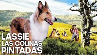 Lassie - Las colinas pintadas | Película de Navidad | La familia | Español | Viejo Oeste