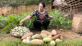 Harvesting Purple Cucumbers, White Eggplant goes to the market sell, Vàng Hoa