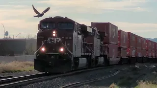 Look Both Ways for Trains