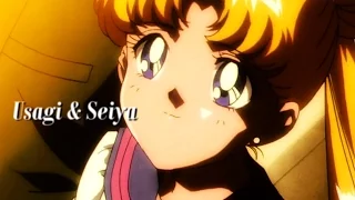 usagi and seiya story [5x07-5x34]