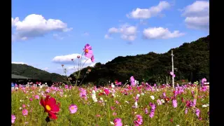 La Chanson Pour Anna　Paul Mauriat     /   Village of Cosmos