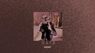 rats—ghost; (slowed down + reverb)