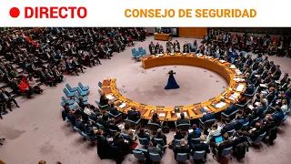 ONU: El CONSEJO de SEGURIDAD discute la SITUACIÓN entre ISRAEL y PALESTINA | RTVE