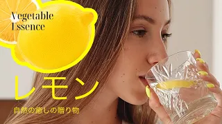 レモン：癒しの果実