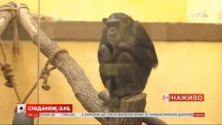 Як живе зоопарк під Києвом під час карантину