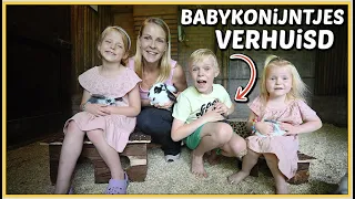 WE GAAN DE BABYKONiJNTJES VERHUiZEN 🐰❤️ | Bellinga Vlog #2505