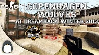 CS:GO - Copenhagen Wolves at DreamHack Winter 2013 (Highlights)