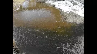 Wisconsin Trout Fishing - 3/26/2018