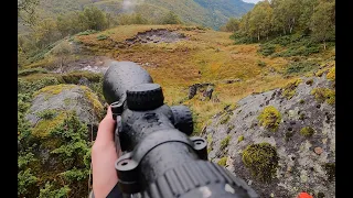 Siderhjorten - Hjortejakt i Hardanger - Hjortefall - FortHjort - GAIM