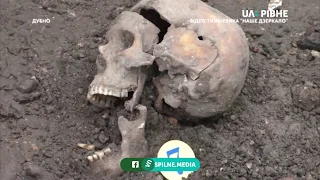 У Дубні знайшли 19 скелетів, ймовірно, закатованих НКВС політв’язнів