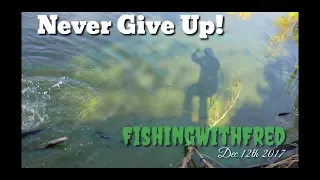 TopWater BASS in December? Chasing dying shad