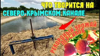 Что творится на СЕВЕРО-КРЫМСКОМ канале.Я поражён СКОЛЬКО воды.Очень много РЫБЫ.Рекордный урожай