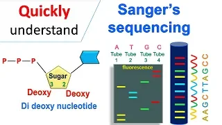 Sanger sequencing