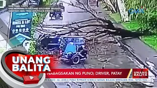 Tricycle, nabagsakan ng puno; Driver, patay | UB