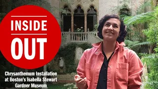 Chrysanthemum Installation at Boston’s Isabella Stewart Gardner Museum | Inside Out | Time Out