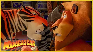 La pandilla se une al circo | Más avances | DreamWorks Madagascar en Español Latino