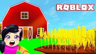 Ferma CUTE Din ROBLOX !!