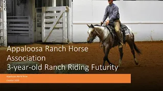 2020 Appaloosa Ranch Horse 3 Year Old Ranch Riding Futurity