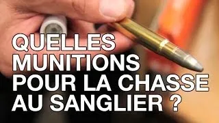 Quelles munitions pour la chasse au sanglier ?