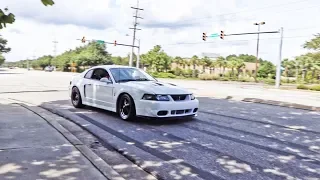 Best Mustang Pullouts/Burnouts of 2018!