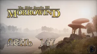 The Elder Scrolls III: Morrowind. Прохождение. Хирсин (часть 147)