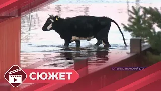 Графский Берег, Хатырык и село Маймага затоплены в Намском районе