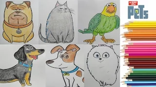 Coloreando a los personajes de Mascotas - Coloring pets from The secret life of PETS