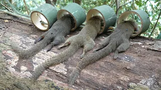 Wild Man: Create Amazing Bamboo Traps to Catch Squirrels, Solo in the Forest