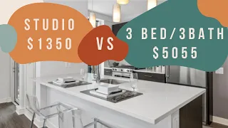 CHICAGO APARTMENT HUNTING - Downtown - Studio vs. 3 Bed/3 Bath